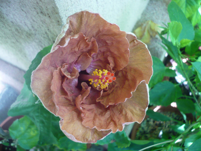 P1180058