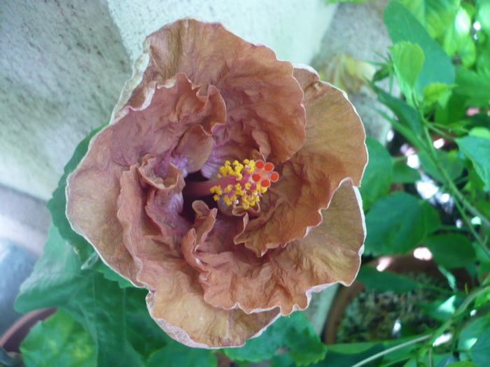 P1180059