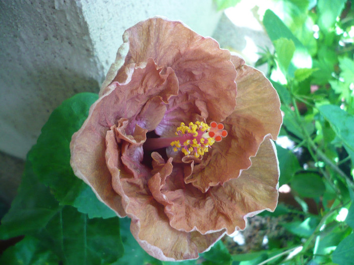 P1180061