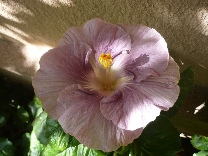 P1180063