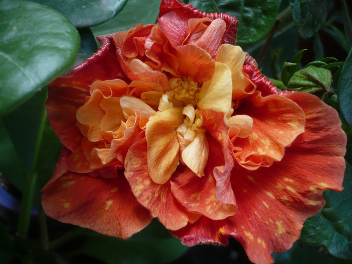 P1180064