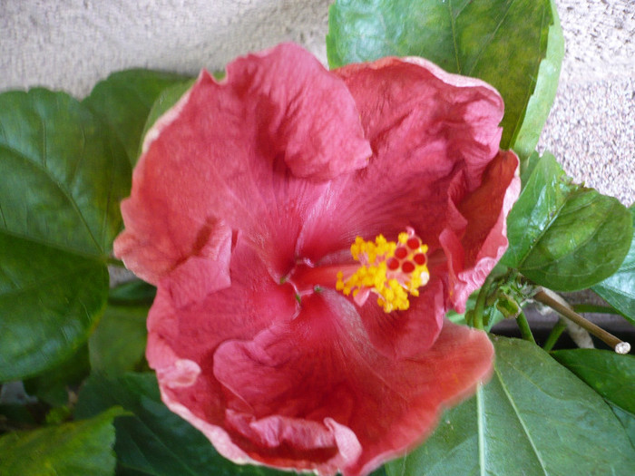 P1180084