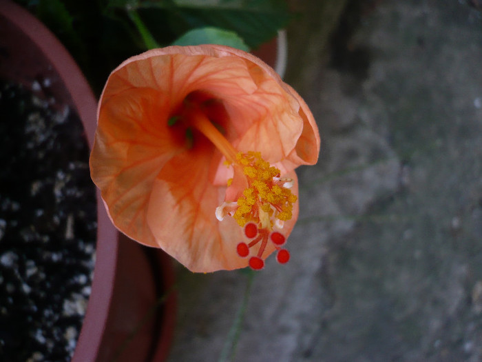 P1180086