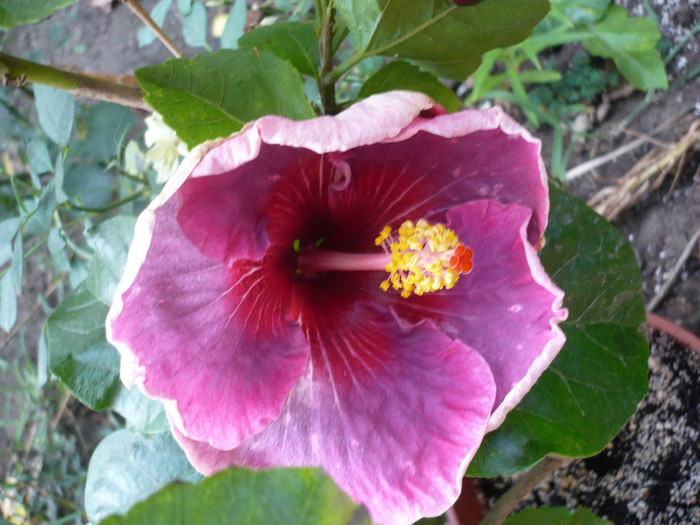 P1180087