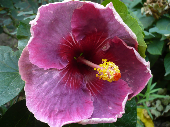 P1180089