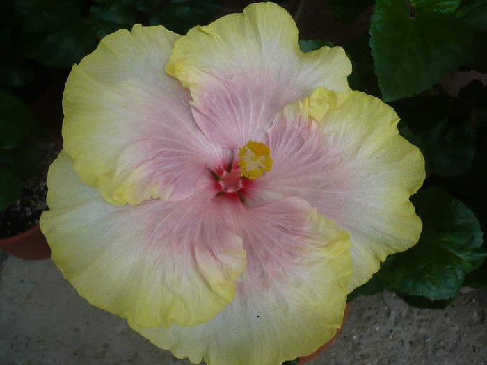 P1180091