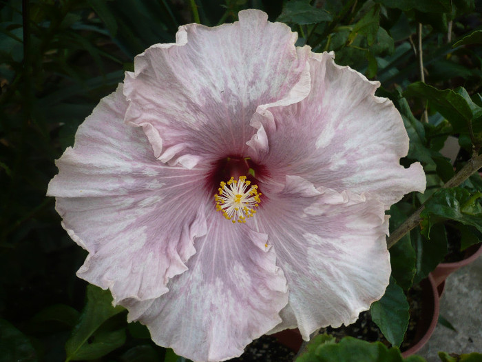 P1180098