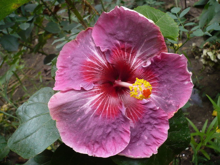 P1180103