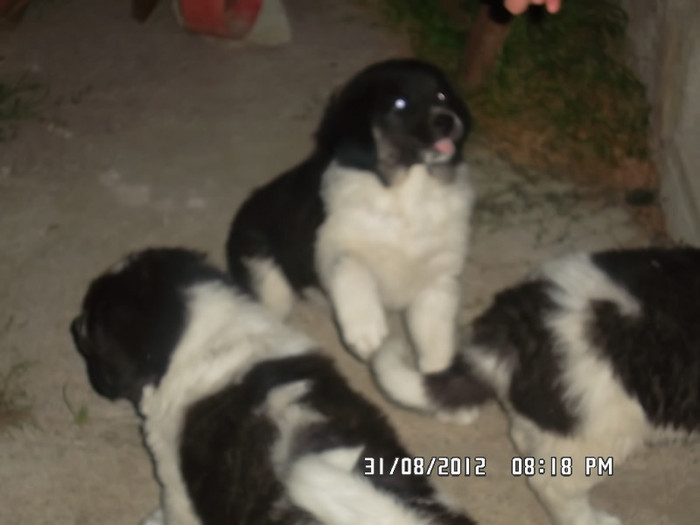 SAM_0450