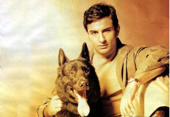 230685_215693028458802_3716468_n