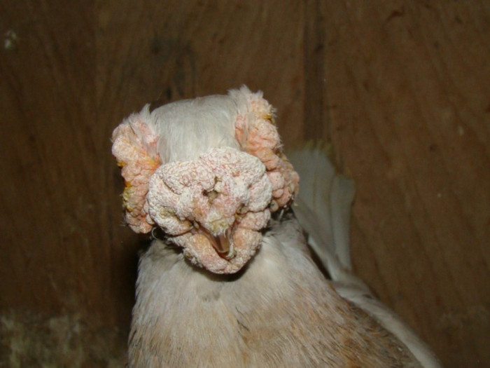 8075c38992_83721458_o2