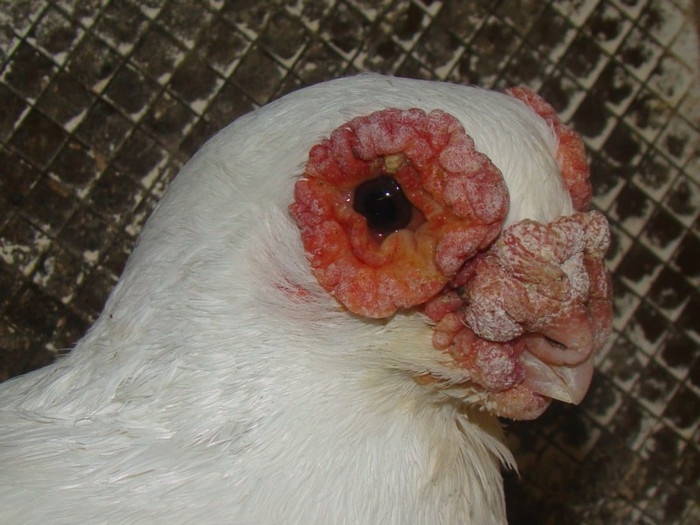 b20bfc6de7_83721594_o2