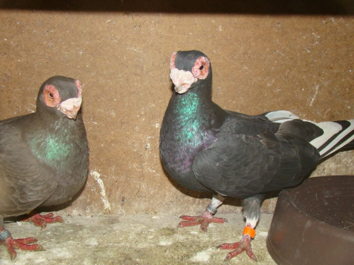 ff2c5a7283_83721364_o2