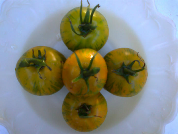 GREEN ZEBRA - 03- TOMATE-ROSII-SOIURI PURE ORGANICE VECHI ROMANESTI SI HEIRLOOM ALBUM 3