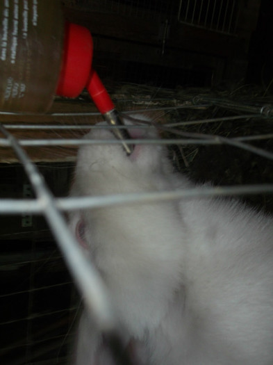 ieri m-am cam imbatat, merge apa