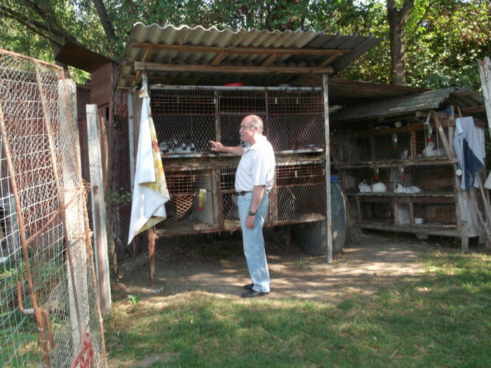 astia sunt foarte frumosi