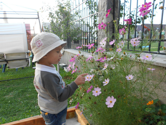 numàr florile lui nonna
