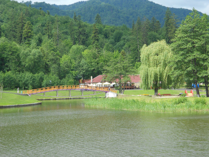 AU CURATAT LACUL - LACUL NOUA DIN BRASOV