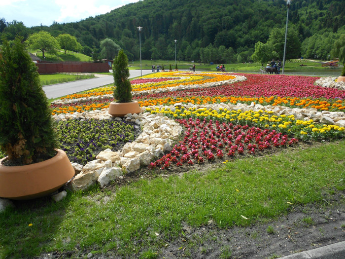 AU PLANTAT FLORI - LACUL NOUA DIN BRASOV