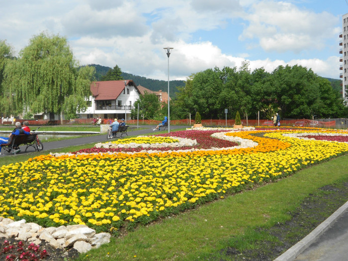 DSCN2473 - LACUL NOUA DIN BRASOV