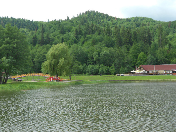 DSCN2475 - LACUL NOUA DIN BRASOV