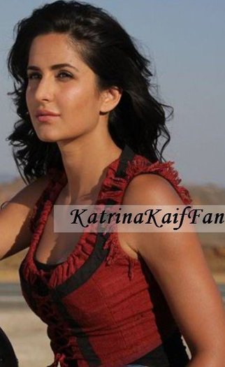 229406_201986563176593_7276264_n