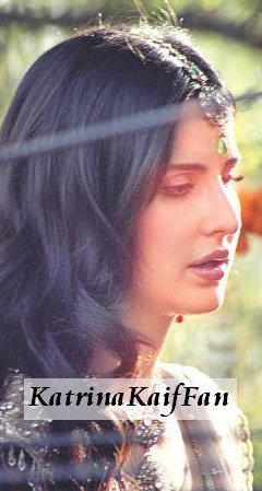 207732_193834170658499_3949223_n