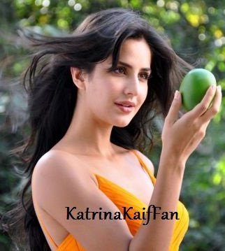 184662_182295781812338_6947202_n