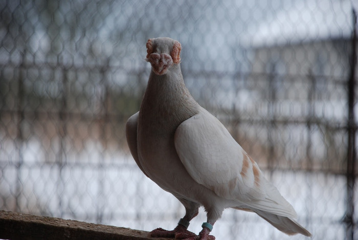 7f1e9be072_70743509_o2