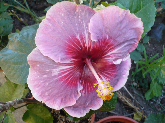 P1180119