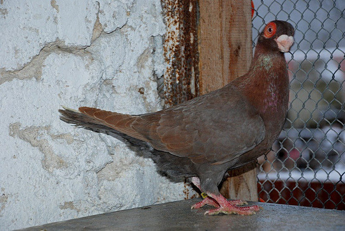 22bf4c17d8_82621050_o2