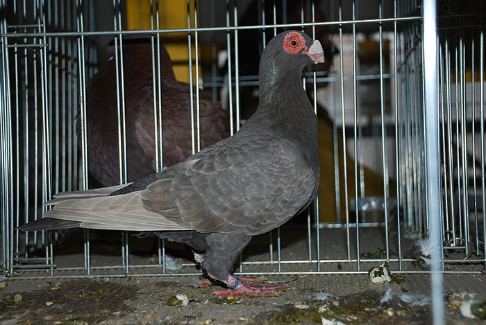 35c079693a_81049413_o2