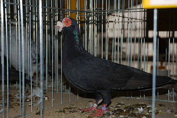 41e0e52589_81049399_o2