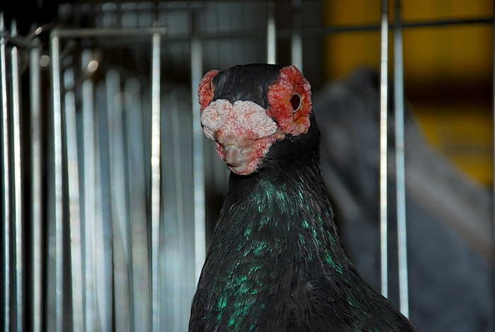 63a644e8a8_81049561_o2