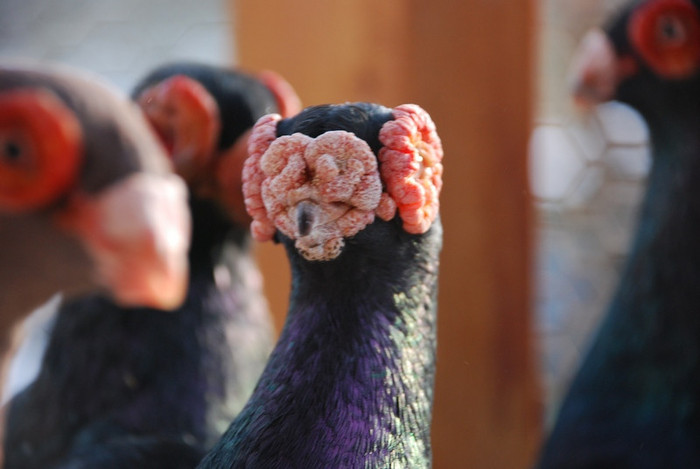 7494cb9cbd_70487452_o2