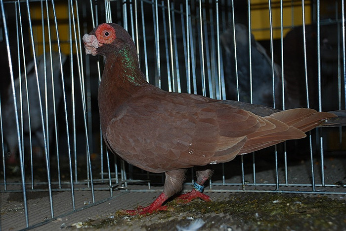 77673b8878_81049588_o2