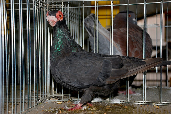 897197bd52_81049552_o2