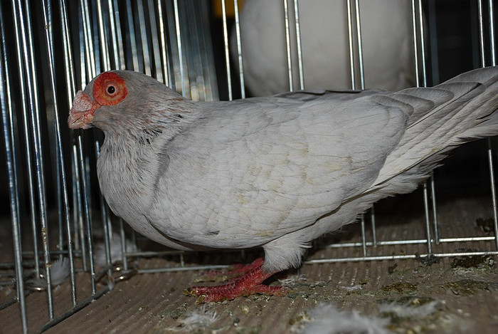 1782541bc9_81049640_o2