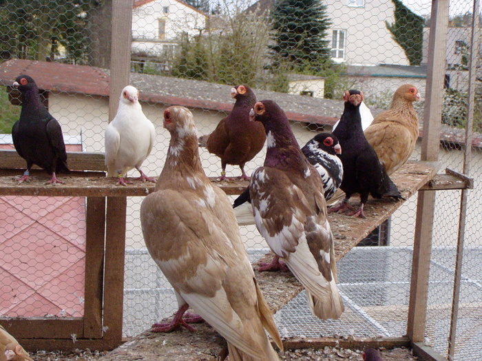 9536491e6b_70554233_o2