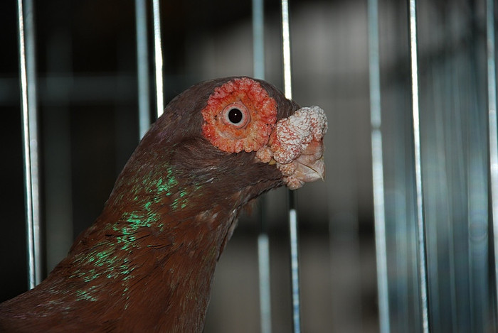 a54d52f06d_81049597_o2