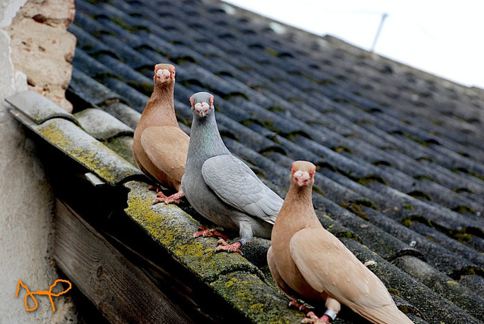 d4df82eba8_75608849_o2