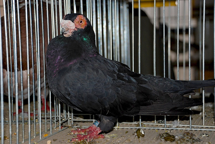 e8717341e1_81048615_o2