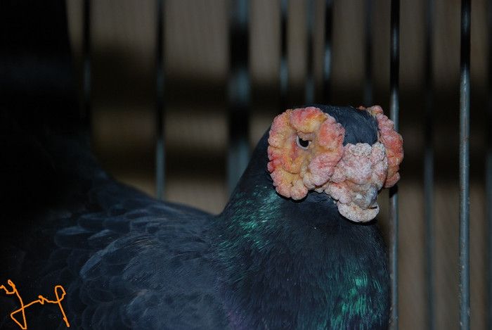 8b09c90af6_72062906_o2