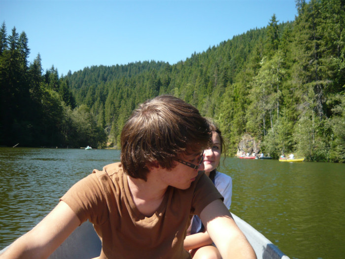 Picture 600