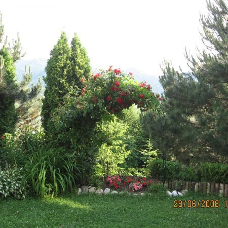 16450683_LEHONTBZG