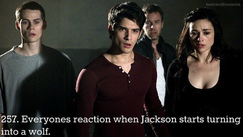 311898_468322319859245_1406471388_n