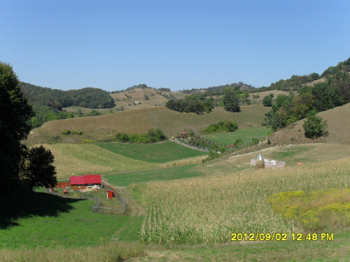 Paucea  -imprejurimi