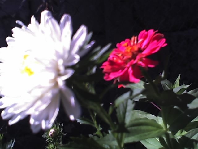 03-09-12_1113