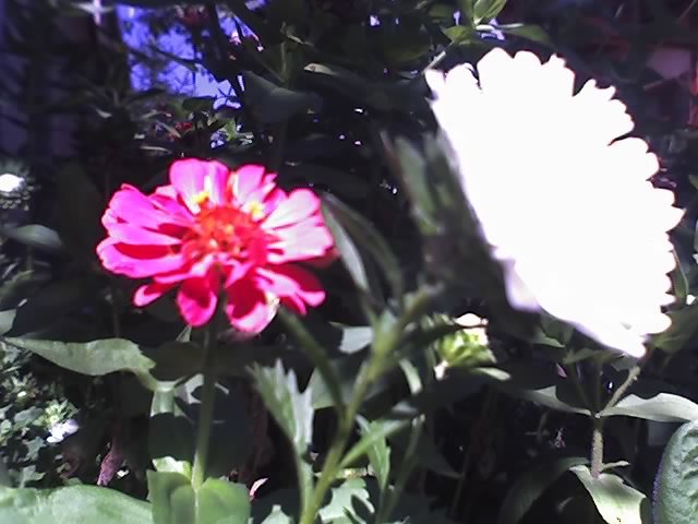 03-09-12_1114