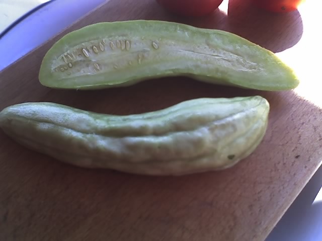 03-09-12_1235 - CASTRAVETE CUCUMBER - ARMENIAN